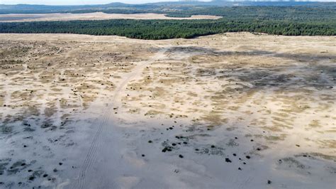 Panorama Pustyni Błędowskiej