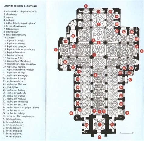 Plan płyt nagrobnych z Bazyliki Mariackiej w Gdańsku