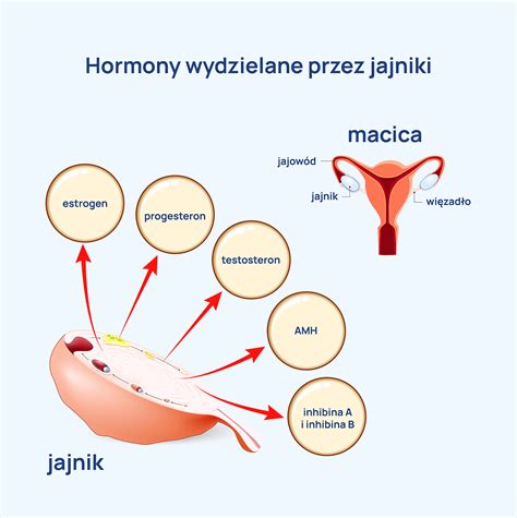 Schemat przedstawiający odporność gresu na ścieranie i uszkodzenia