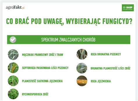 Spektrum chorób grzybowych zwalczanych przez fungicydy