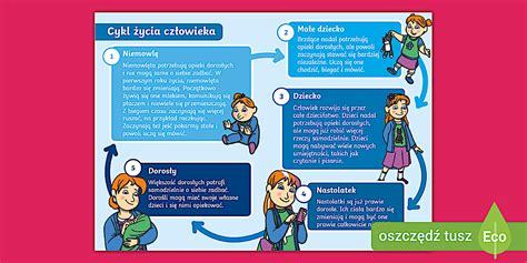 Infografika przedstawiająca rodzaje zaniedbań i ich wpływ na rozwój dziecka