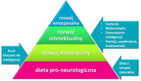 schemat rozwoju więzi dziecka z opiekunem