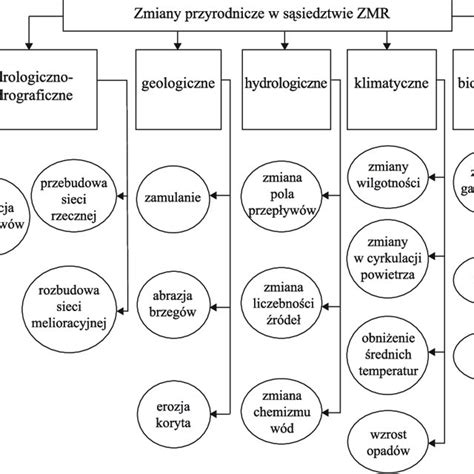 Schematyczne przedstawienie definicji przewozu drogowego