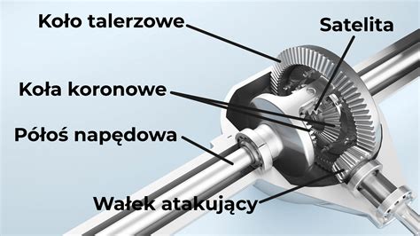 Schemat mechanizmu Strut-Tie (ST) dla krótkiego wspornika