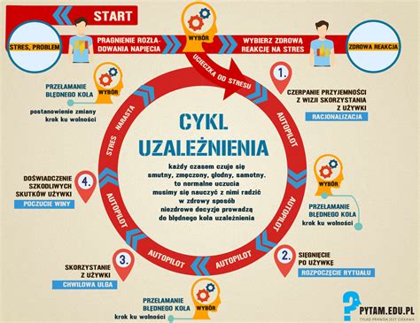 Infografika pokazująca cykl rozwoju pleśni w łazience