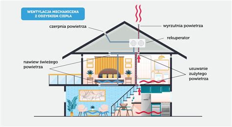 Schemat przekroju budynku z zaznaczonym cokołem