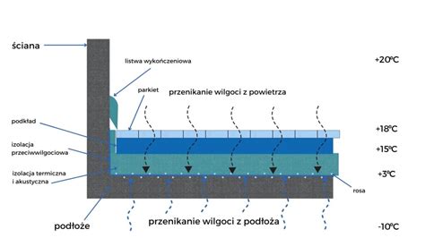 Schemat przenikania wilgoci w ścianie