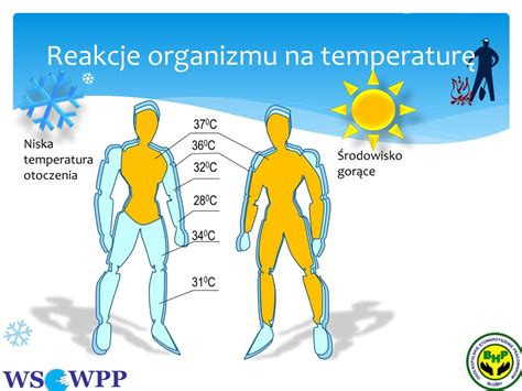 Schemat wpływu temperatury i wilgotności na schnięcie