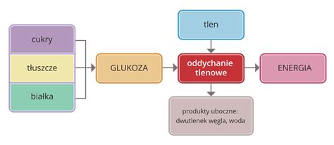 Fragment ściany z widocznymi porami, symbolizujący 