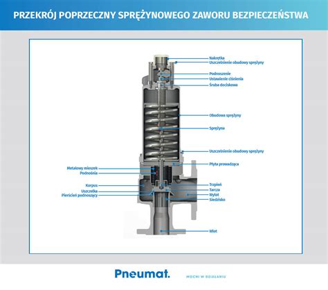 Przekrój zaworu bezpieczeństwa z widoczną sprężyną i elementem zamykającym