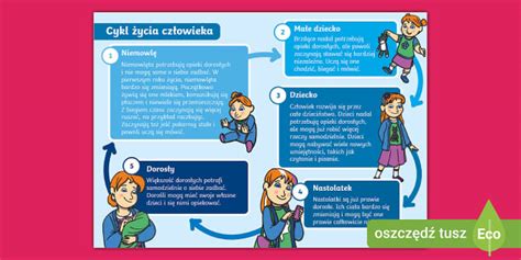 Infografika przedstawiająca cykl życia destruktu asfaltowego