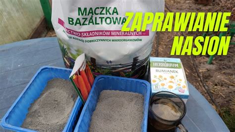 Proces zaprawiania nasion