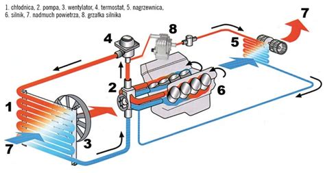 Schemat układu chłodzenia BMW E39 z zaznaczonymi wężami