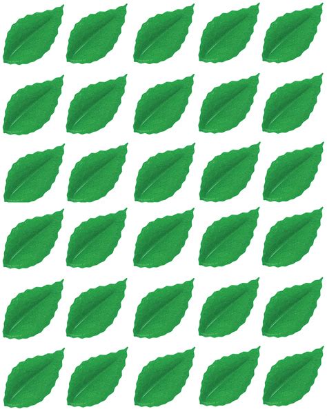 Zielone listki na szklanym panelu kuchennym