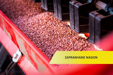 Zaprawianie nasion w betoniarce