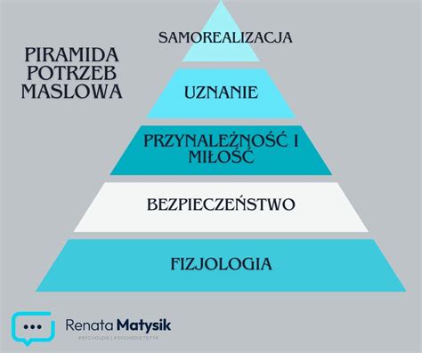 Schemat potrzeb świetlnych storczyka