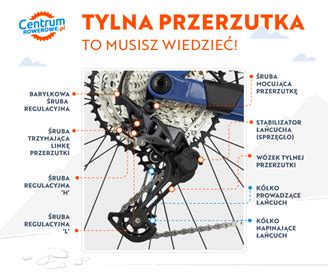 Schemat działania przerzutek w rowerze górskim