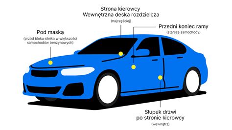 Diagram przedstawiający typowe miejsca korozji na drzwiach samochodu