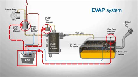 Schemat systemu EVAP w samochodzie