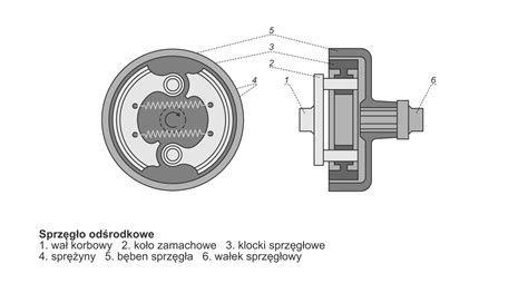 diagram pokazujący 21+1 pozycji sprzęgła w wiertarko-wkrętarce