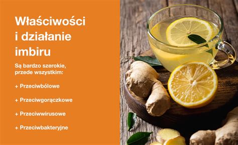 Diagram przedstawiający właściwości zdrowotne imbiru
