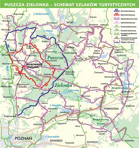 Mapa z zaznaczonymi trasami rowerowymi w okolicach Ujścia