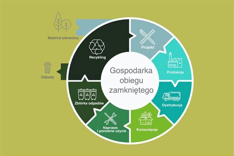 Schemat obiegu zamkniętego w produkcji białka z owadów