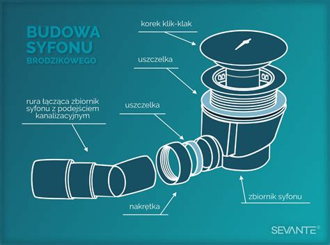 Schemat budowy syfonu brodzikowego