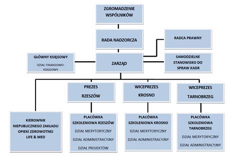 Schemat organizacyjny projektu badawczego 