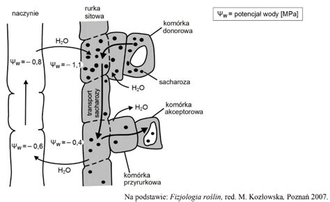 Diagram przedstawiający mechanizm zamarzania wody w rurkach nagrzewnicy