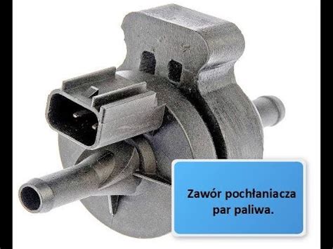 Lokalizacja pochłaniacza par paliwa i zaworu EVAP w Hyundai Tucson