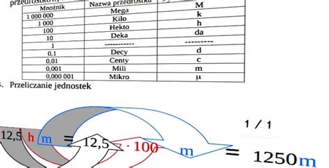 schemat porównujący doniczki o różnej wielkości i ich wpływ na korzenie roślin