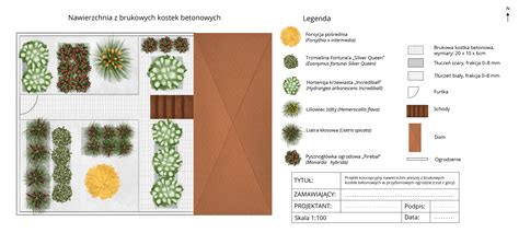 Doświadczony brukarz analizujący projekt nawierzchni