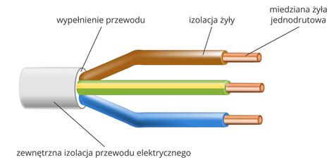 Schemat porównujący budowę przewodu i kabla