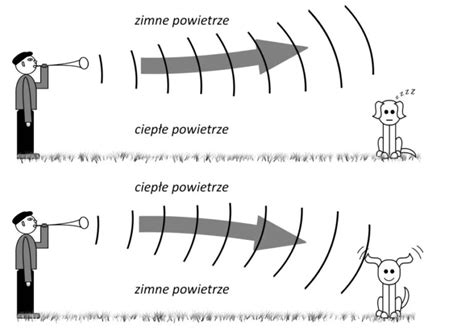 Diagram przedstawiający rozchodzenie się fal dźwiękowych w pomieszczeniu z panelami akustycznymi